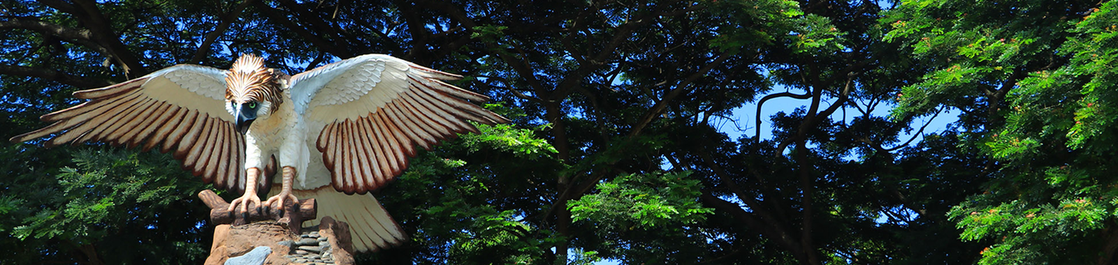 Eagle